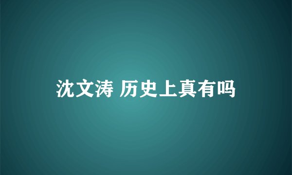沈文涛 历史上真有吗