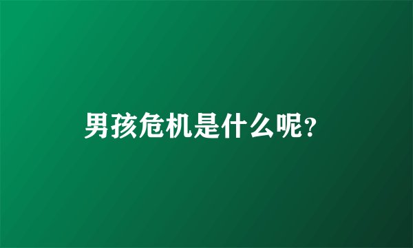 男孩危机是什么呢?