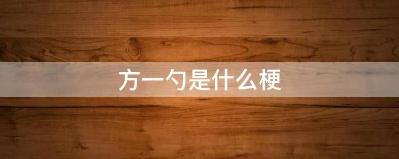 方一勺是什么梗