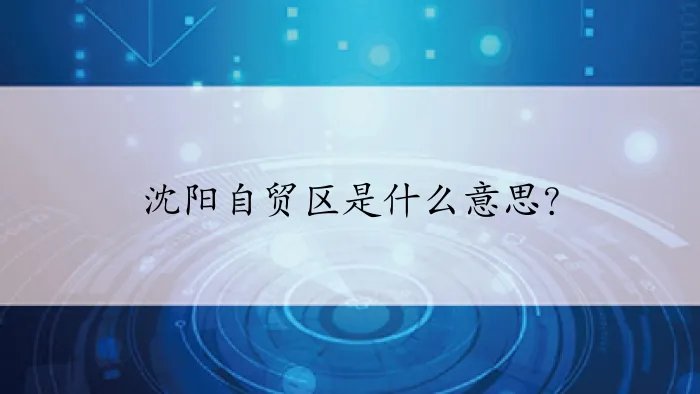 沈阳自贸区是什么意思？