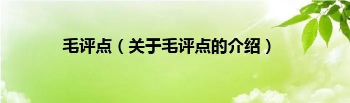 毛评点(关于毛评点的介绍)