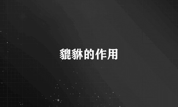 貔貅的作用