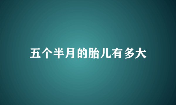 五个半月的胎儿有多大