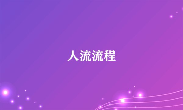 人流流程
