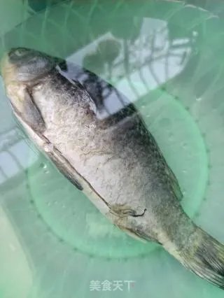 鲫鱼冬瓜汤