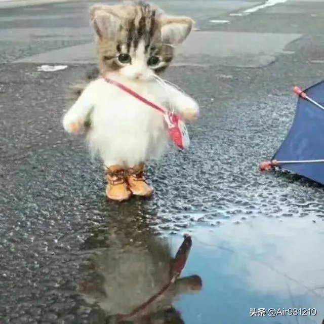 如何评价90后女生立遗嘱将房产留给闺蜜？
