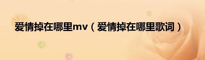 爱情掉在哪里mv（爱情掉在哪里歌词）