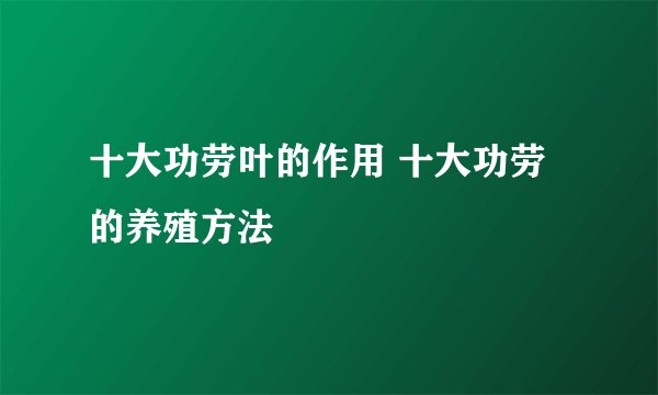 十大功劳叶的作用 十大功劳的养殖方法