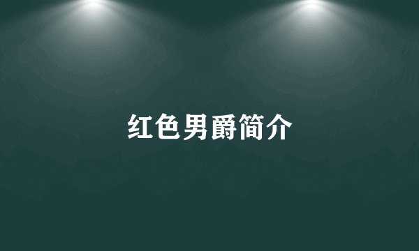 红色男爵简介