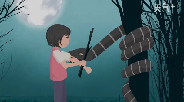 晚上做梦梦到蛇是什么意思 晚上做梦梦到蛇有什么含义