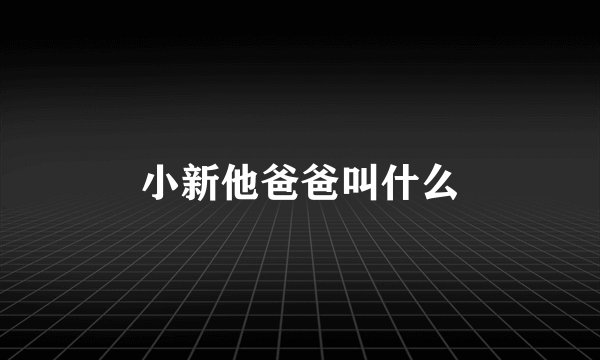 小新他爸爸叫什么