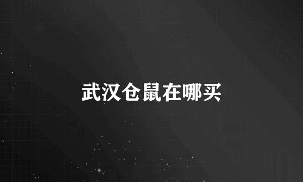 武汉仓鼠在哪买