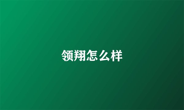领翔怎么样
