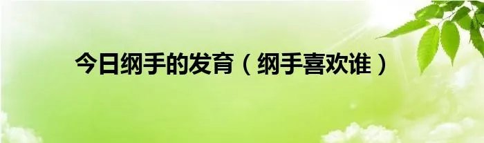 今日纲手的发育(纲手喜欢谁)