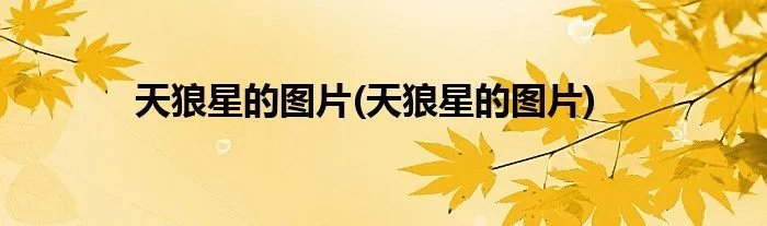 天狼星的图片(天狼星的图片)