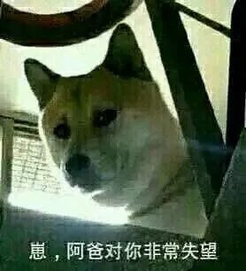 孙杨800米失利后累到痛哭,他的赛程安排真的有问题么?
