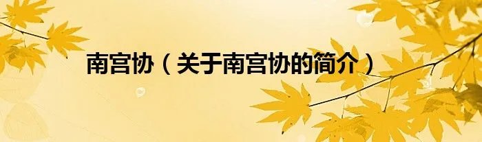 南宫协（关于南宫协的简介）