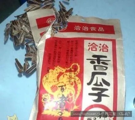 山寨食品.