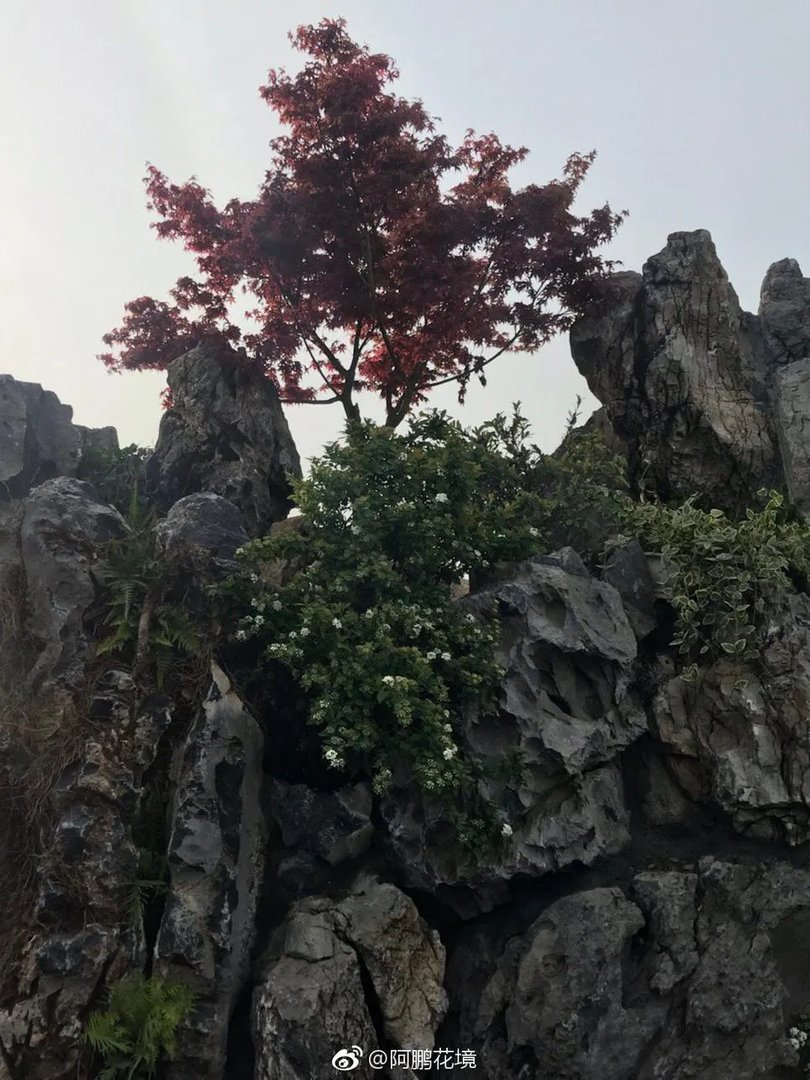 张家界style