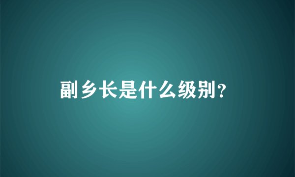 副乡长是什么级别？