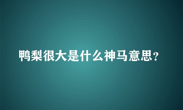 鸭梨很大是什么神马意思？