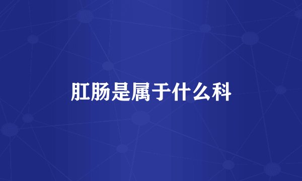 肛肠是属于什么科