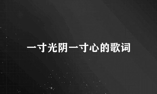 一寸光阴一寸心的歌词