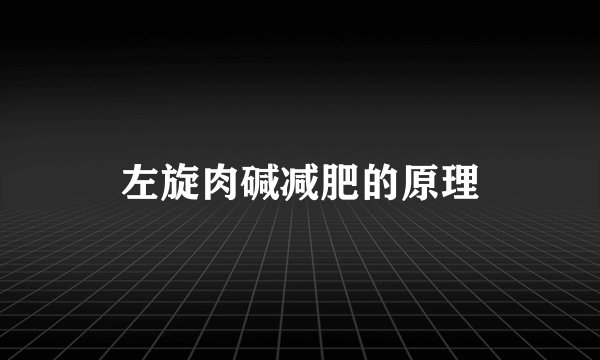 左旋肉碱减肥的原理