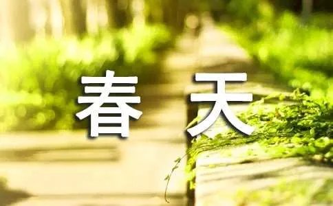 春天里作文