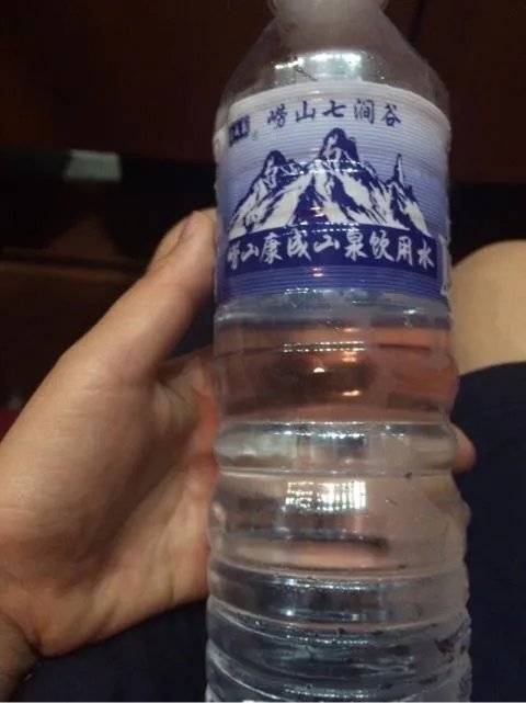 山寨食品.