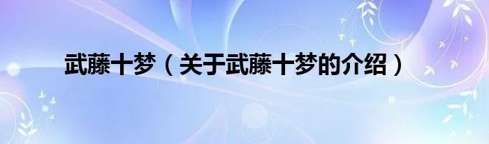 武藤十梦（关于武藤十梦的介绍）