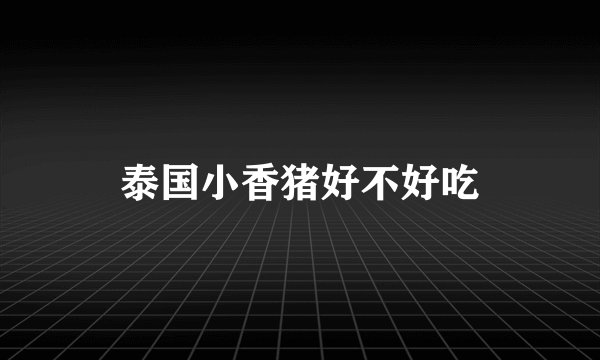 泰国小香猪好不好吃