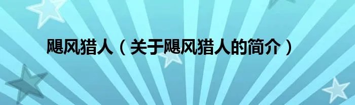 飓风猎人（关于飓风猎人的简介）