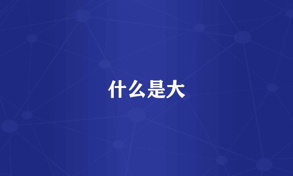 什么是大