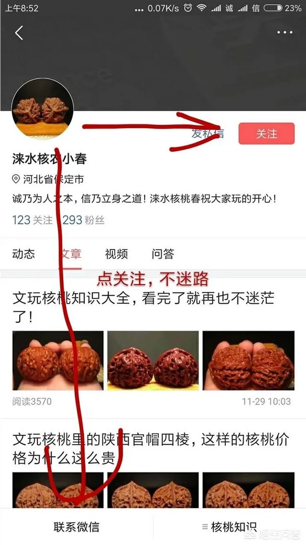 南疆石狮子头为什么那么贵,还那么受欢迎?