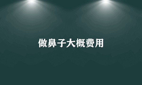 做鼻子大概费用