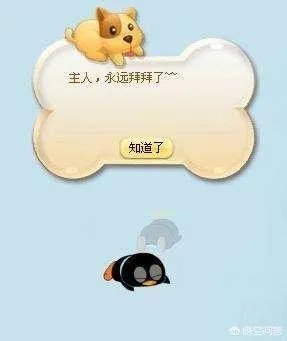 qq宠物论坛