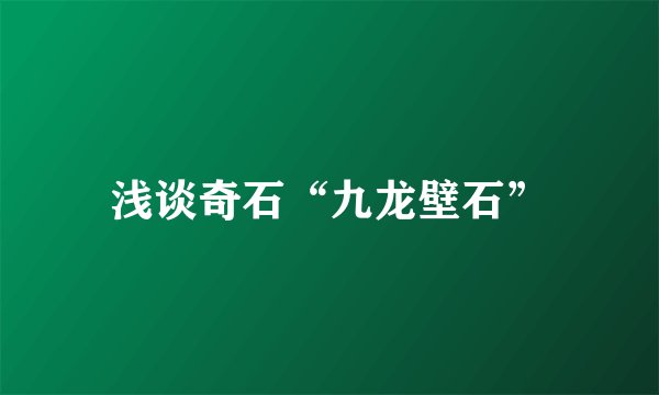 浅谈奇石“九龙壁石”