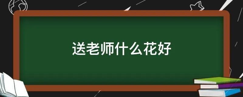 送老师什么花好