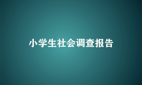 小学生社会调查报告