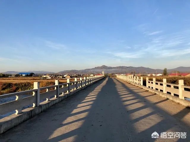 央视网评娱乐歪风