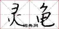 灵龟