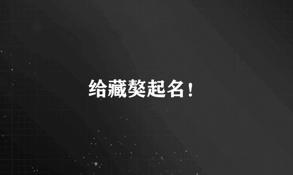 给藏獒起名！