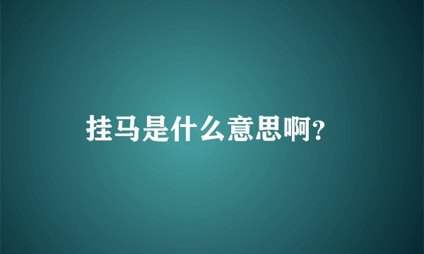 挂马是什么意思啊?