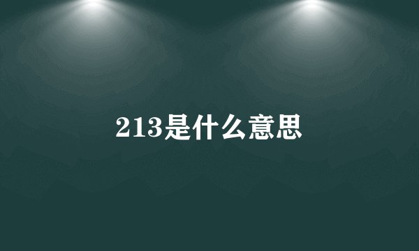 213是什么意思