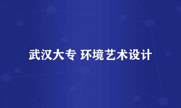 武汉大专 环境艺术设计