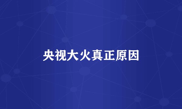 央视大火真正原因