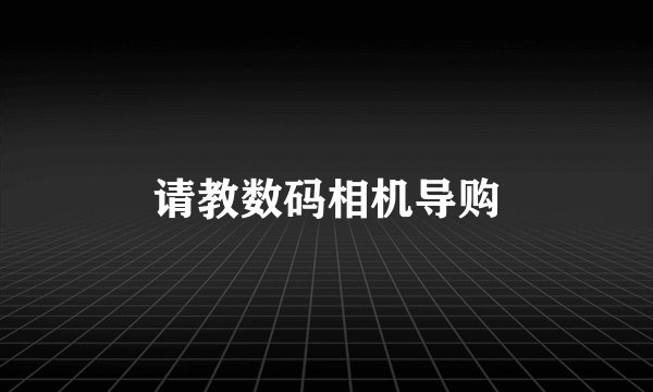 请教数码相机导购