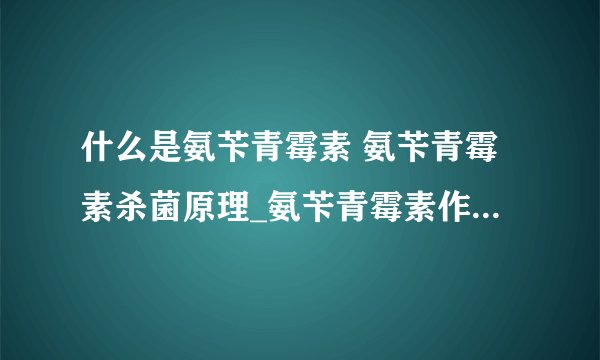 什么是氨苄青霉素 氨苄青霉素杀菌原理_氨苄青霉素作用_氨苄青霉素副作用