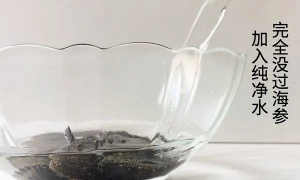 干海参怎么发
